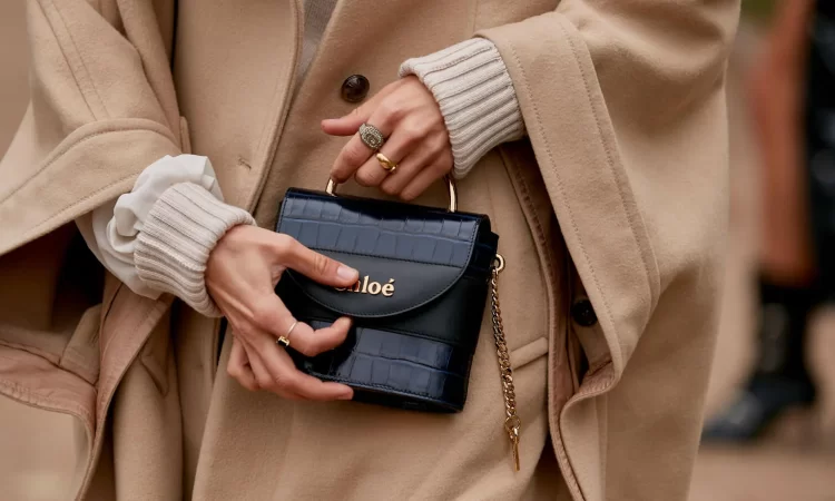 The Most Eye-Catching Fashion Handbags for Ladies